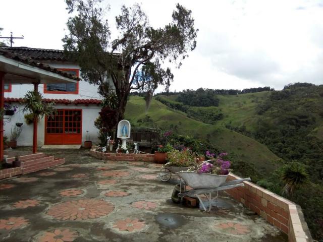 Fincas y Casas Campestres, Venta en Calima (Darién)