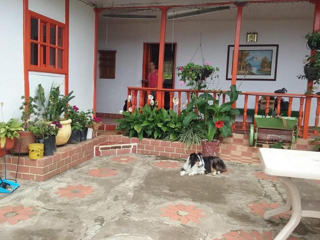 Fincas y Casas Campestres, Venta en Calima (Darién)