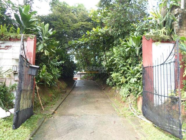 Apartaestudios, Alquiler en Buitrera