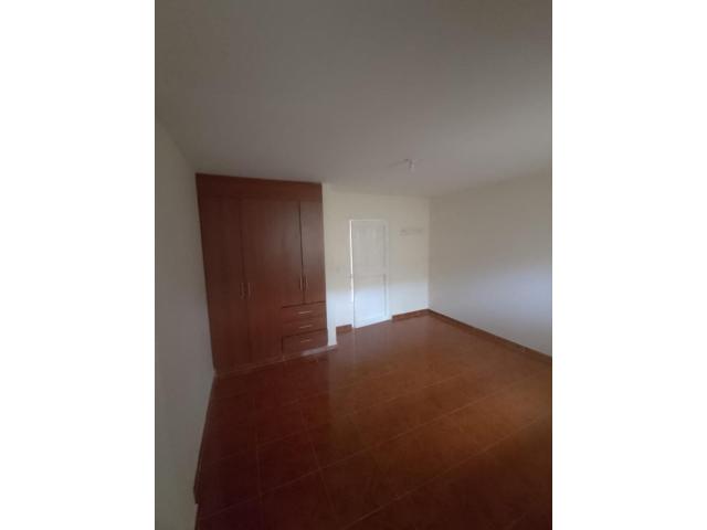 Apartamentos, Alquiler en Capri