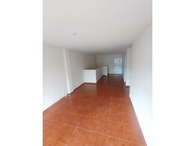 Apartamentos, Alquiler en Capri