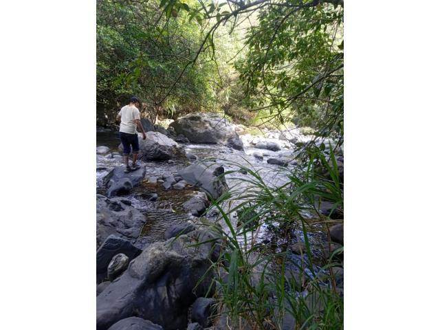 Fincas y Casas Campestres, Venta en Yumbo