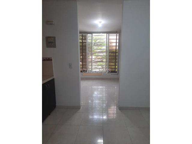 Apartaestudios, Alquiler en Cristóbal Colón