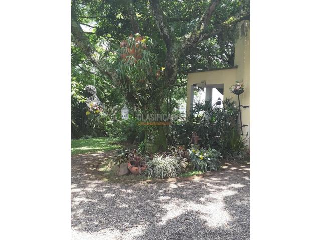 Apartaestudios, Alquiler en Nápoles