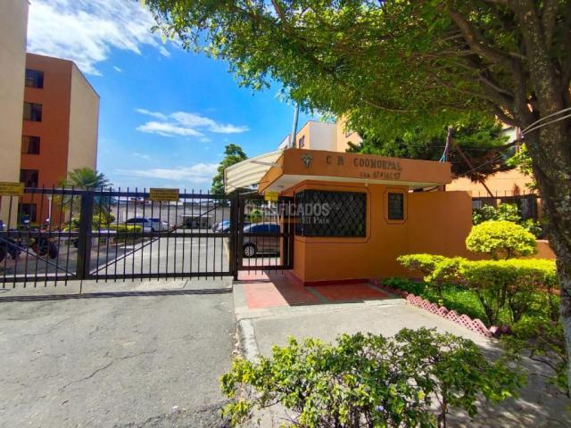 Apartamentos, Alquiler en La Selva