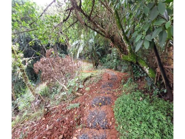 Lotes, Venta en Bella Suiza