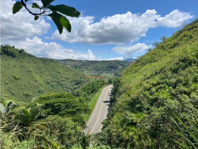 Fincas y Casas Campestres, Venta en Dagua