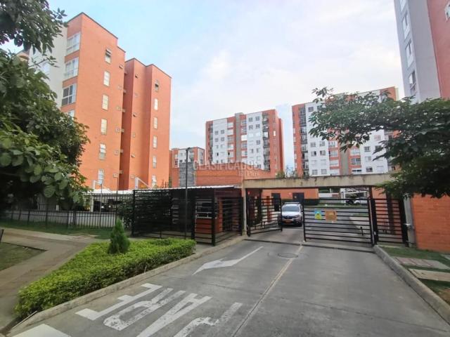 Apartamentos, Alquiler en Ciudad Melendez