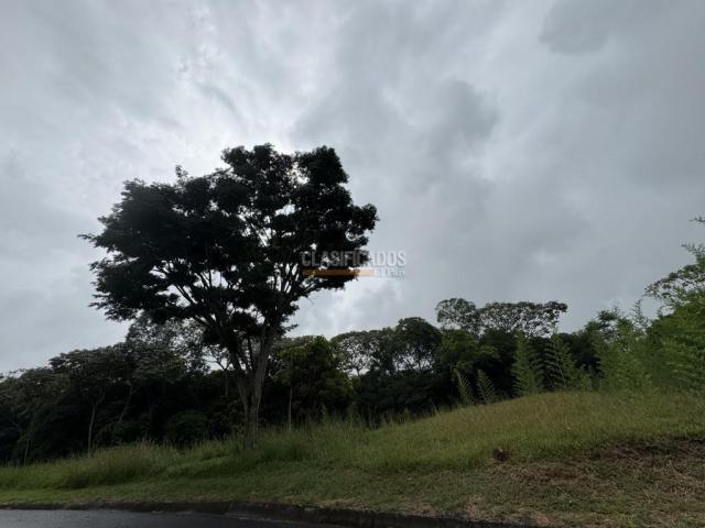 Lotes, Venta en Pance