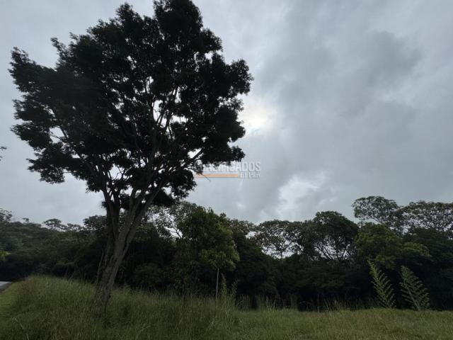 Lotes, Venta en Pance