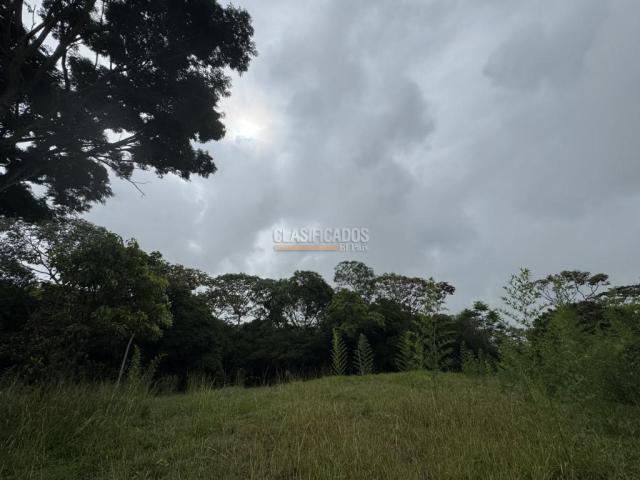 Lotes, Venta en Pance