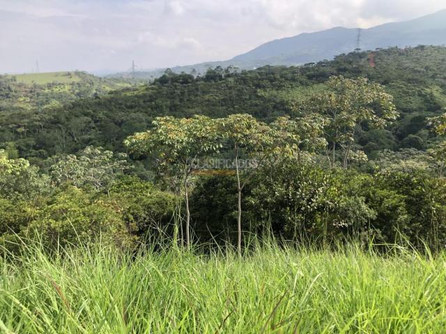 Lotes, Venta en Pance