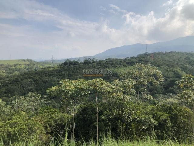 Lotes, Venta en Pance