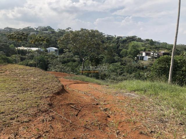 Lotes, Venta en Pance