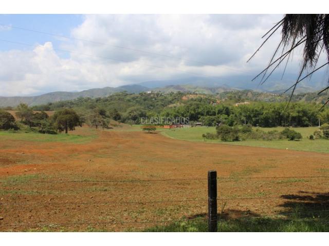 Lotes, Venta en Jamundí