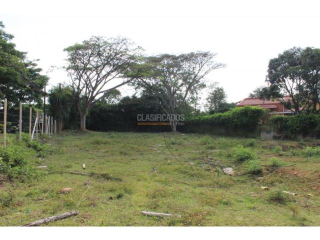 Lotes, Venta en Pance