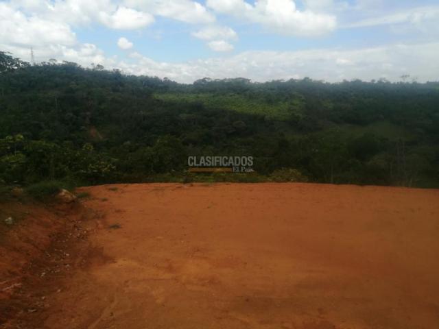 Lotes, Venta en Pance