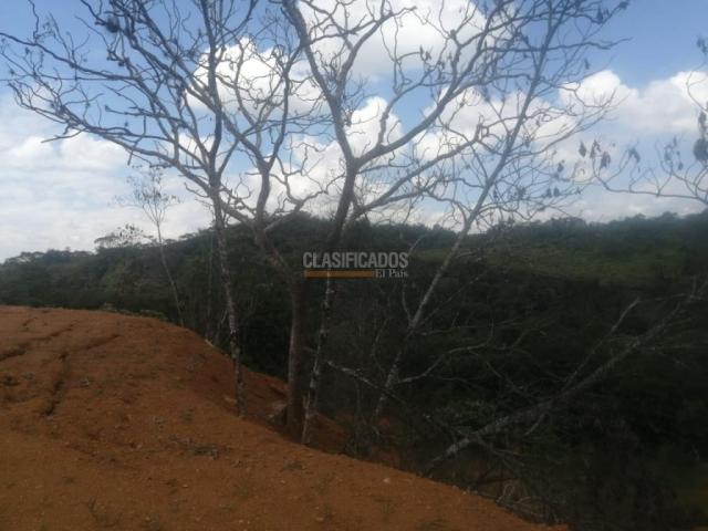 Lotes, Venta en Pance