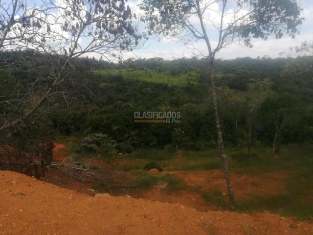 Lotes, Venta en Pance