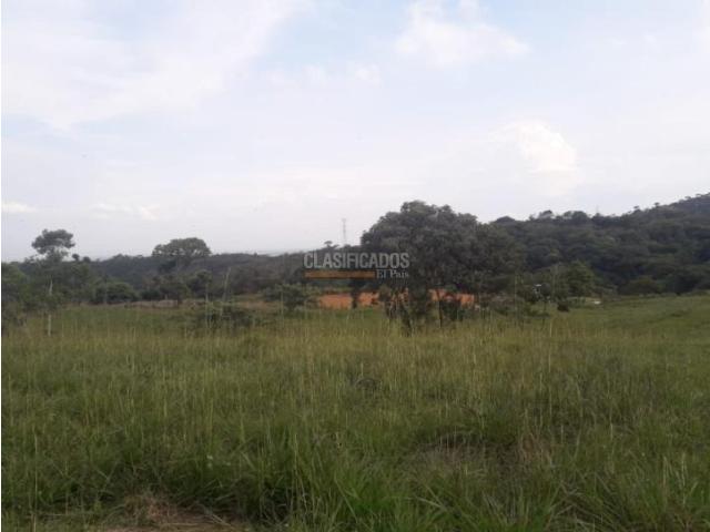 Lotes, Venta en Pance