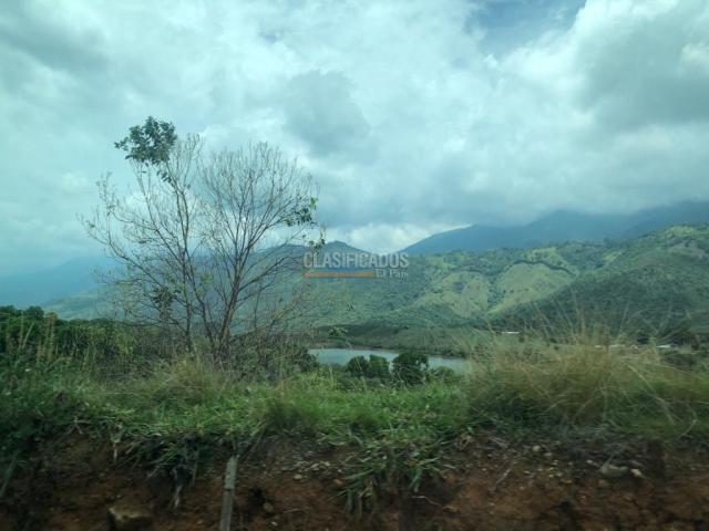 Lotes, Venta en Palmira