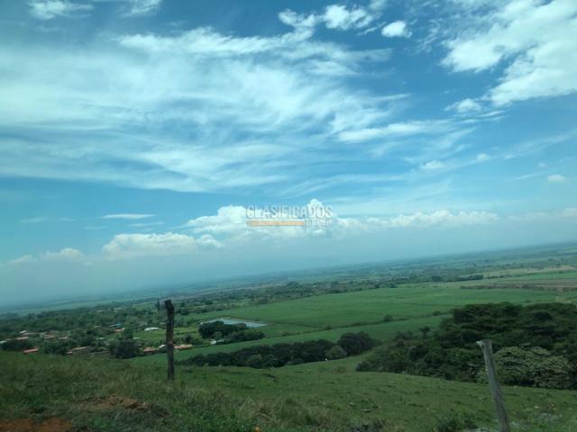 Lotes, Venta en Palmira