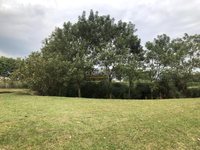 Lotes, Venta en Jamundí