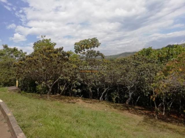 Lotes, Venta en Jamundí