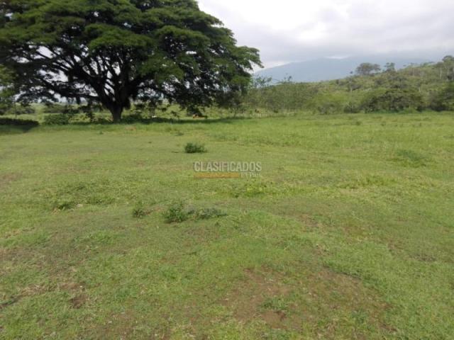 Lotes, Venta en Pance