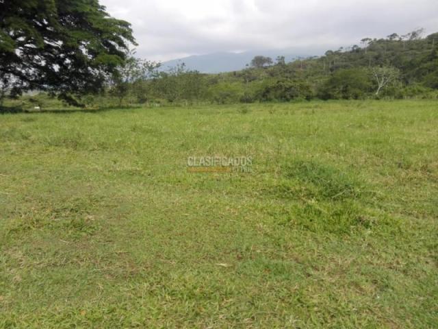 Lotes, Venta en Pance