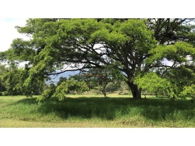 Lotes, Venta en Pance