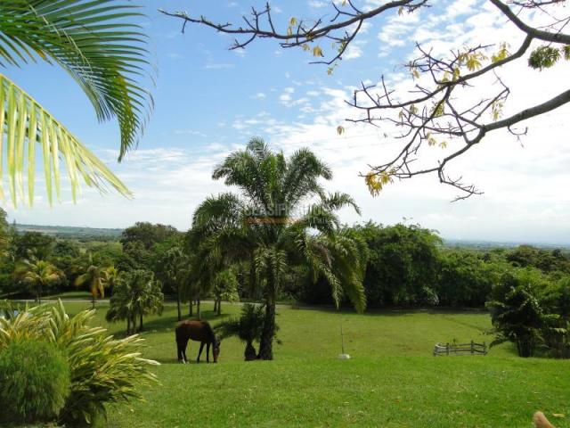 Fincas y Casas Campestres, Venta en El Cerrito