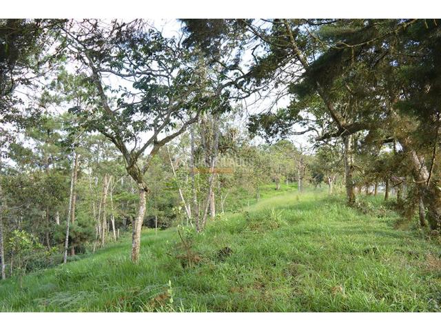 Lotes, Venta en Yumbo