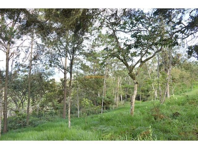 Lotes, Venta en Yumbo