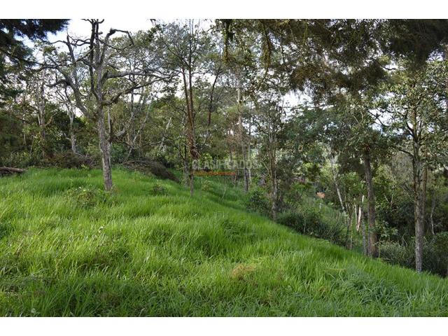 Lotes, Venta en Yumbo