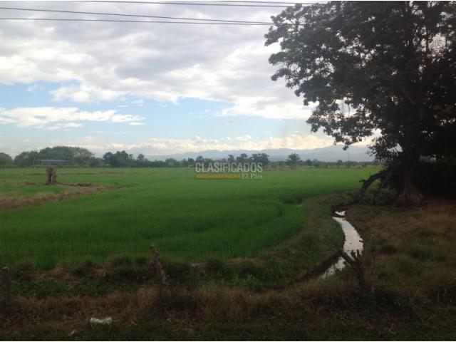 Lotes, Venta en Jamundí