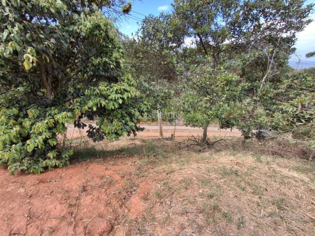 Lotes, Venta en Acopi