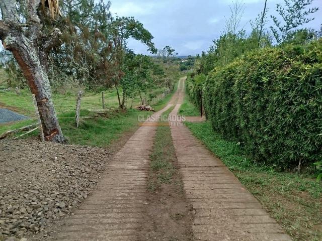 Lotes, Venta en Calicanto