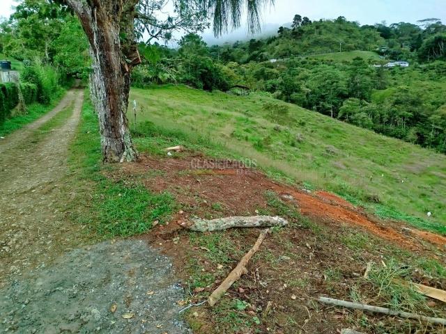 Lotes, Venta en Calicanto