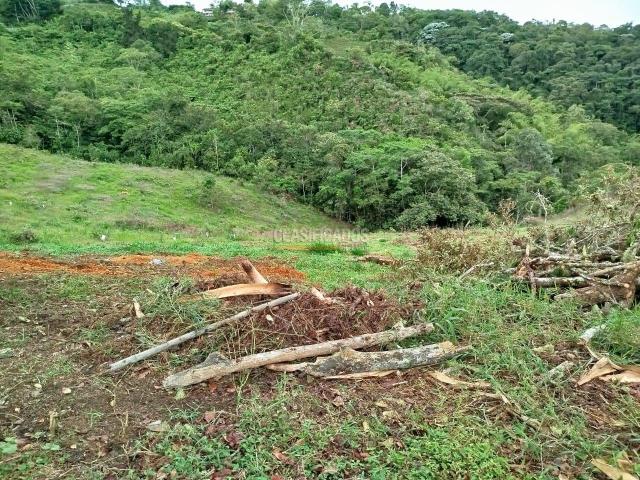 Lotes, Venta en Calicanto