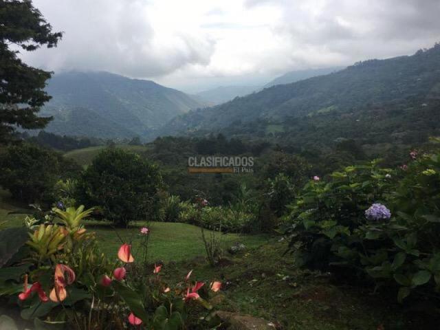 Fincas y Casas Campestres, Venta en Santa Rita