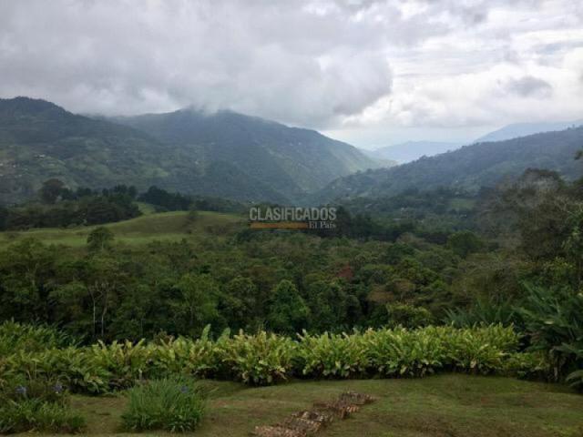 Fincas y Casas Campestres, Venta en Santa Rita