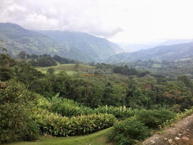 Fincas y Casas Campestres, Venta en Santa Rita