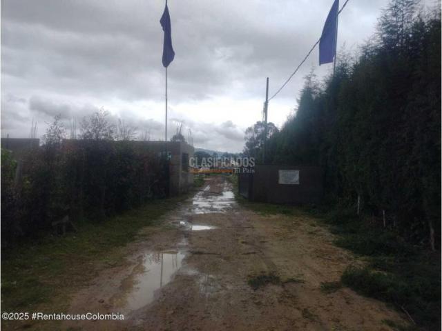 Lotes, Venta en Chía