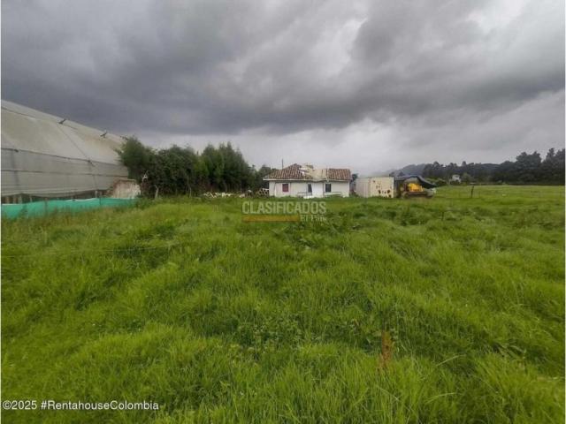 Lotes, Venta en Chía