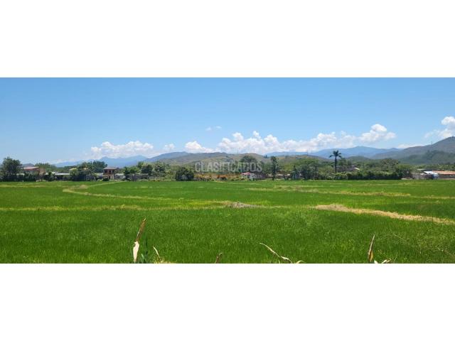 Fincas y Casas Campestres, Venta en Jamundí