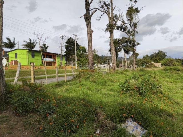 Lotes, Venta en Piendamó