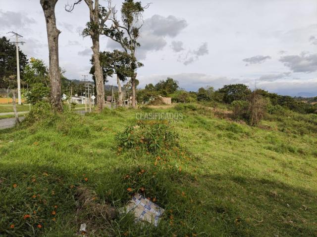 Lotes, Venta en Piendamó