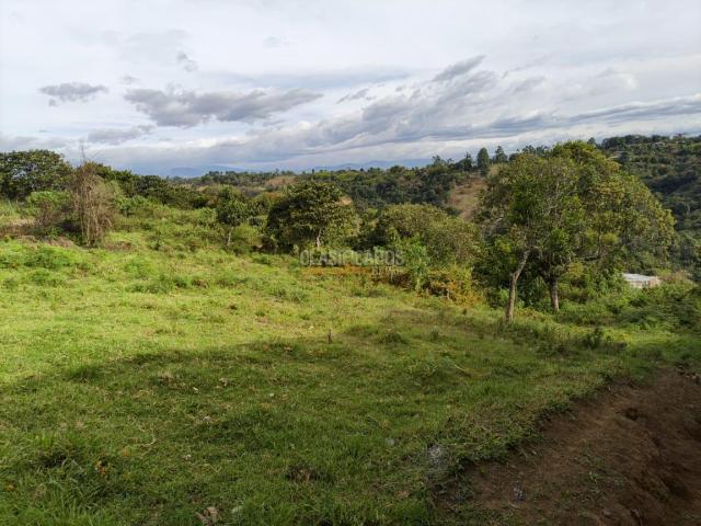 Lotes, Venta en Piendamó