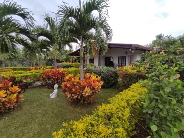 Fincas y Casas Campestres, Venta en El Cerrito